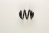 VW 1J0511115DD Coil Spring